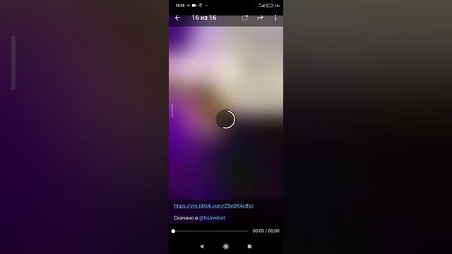 как скачать видео без водяных знаков из тт смотреть онлайн