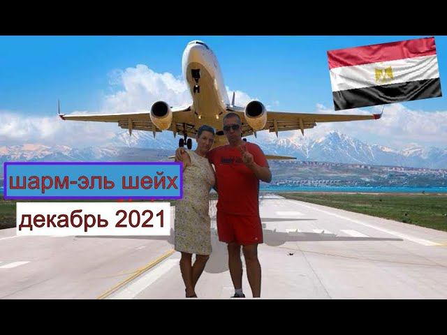 ЕГИПЕТ ДЕКАБРЬ 2021. ПОЛЕЗНЫЕ СОВЕТЫ, ИНТЕРНЕТ, ГДЕ КОРПУС 4*. ОТЕЛЬ SHARM PLAZA 5*. смотреть онлайн