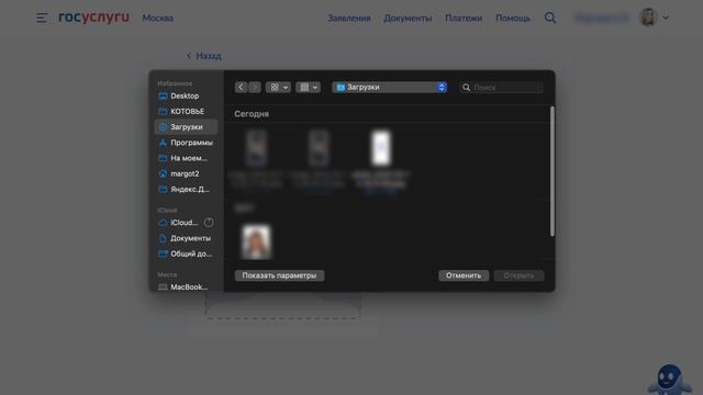 Биометрия РФ