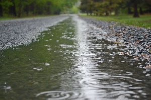 В.ДОБРЫНИН СУМАСШЕДШИЙ ДОЖДЬ