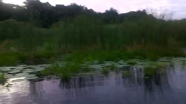 ловля карася на р. Сула смотреть онлайн