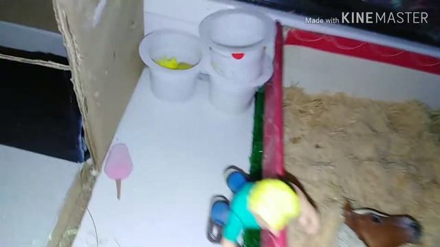 Первое видео. Обзор на конюшню. смотреть онлайн