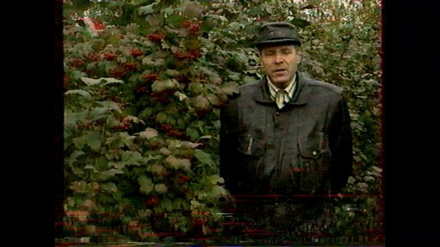 2002 г. бт: Сад мечты:обрезка полукустарников, обработка почвы в зиму,посадка лука под зиму, калина смотреть онлайн