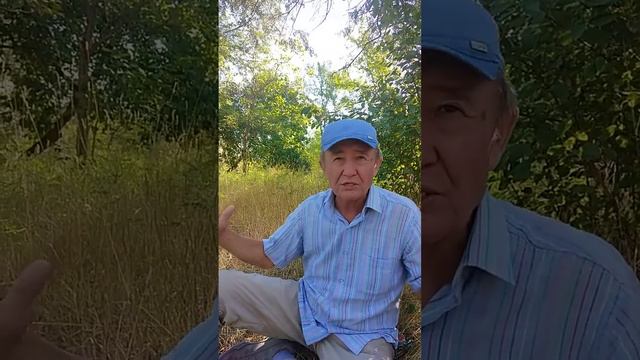 Дүйшөн Керимов: Кенесары, Ноорузбай чапкынынын тарых-таржымалы. смотреть онлайн