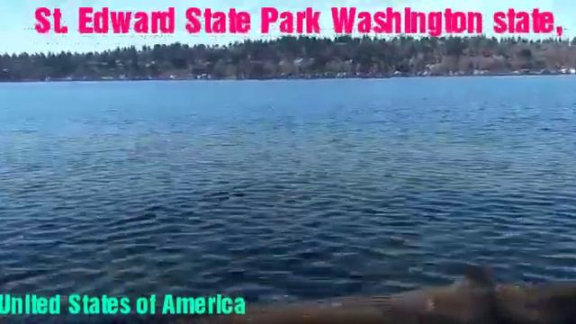 Saint Edward State Park, Washington state, United States of America смотреть онлайн