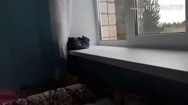 Один день из лагеря. смотреть онлайн