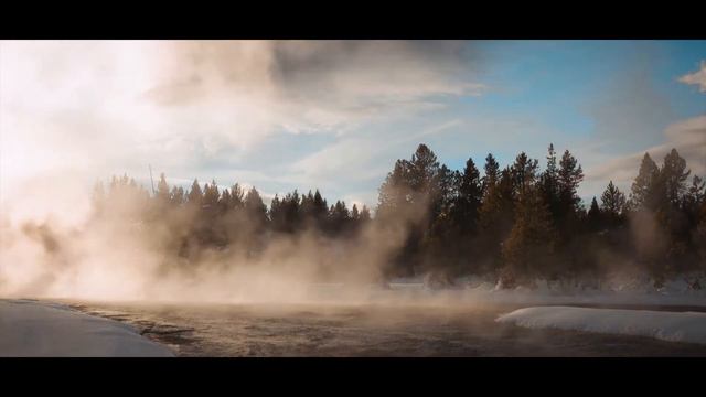 American Bison - Winter смотреть онлайн