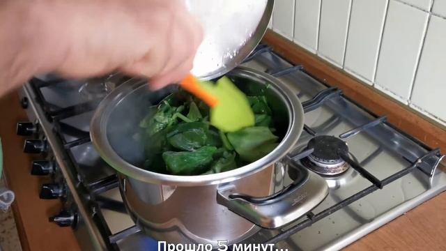 Домашние Животные и Их Уход