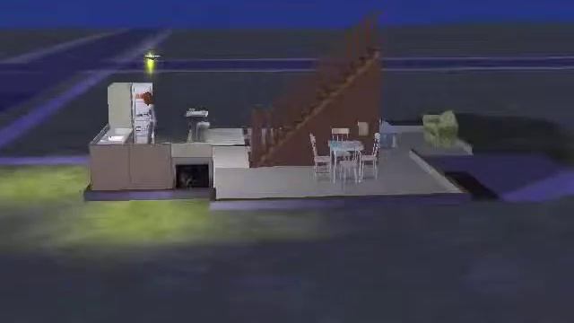 Sims 2 Glitching?
