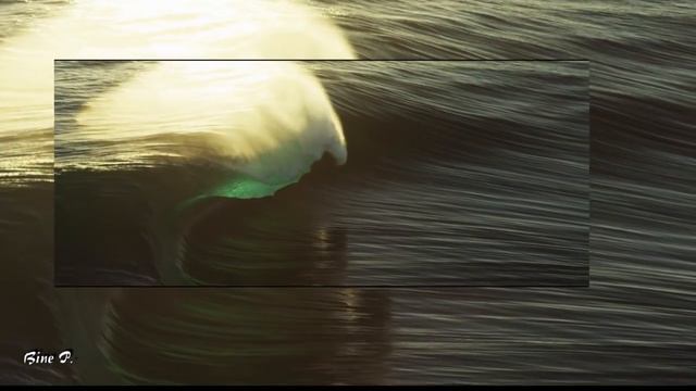 VANGELIS Songs Of The Seas смотреть онлайн