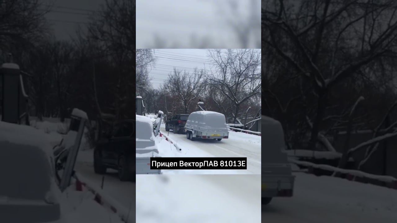 Прицеп Вектор ЛАВ 81013E #shortsvideo #shorts #векторлав #нск #прицеп #легковойприцеп смотреть онлайн