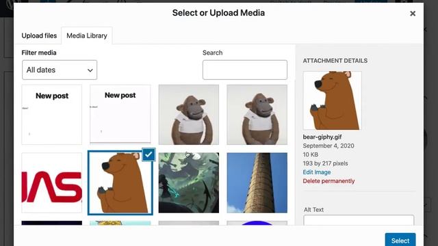 Show or hide content from your blog or email in Gutenberg block editor смотреть онлайн