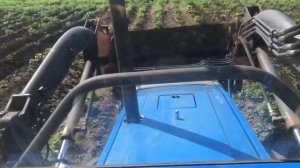 Обработка картофеля ежами