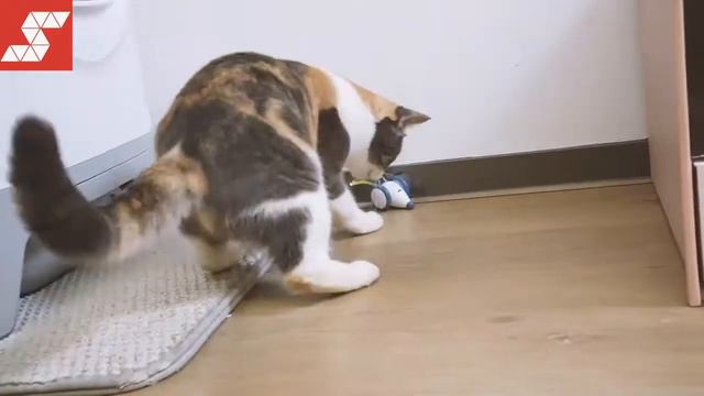Cheerble Wicked Mouse Interactive Cat Toy | Smartpaw Online Pet Store