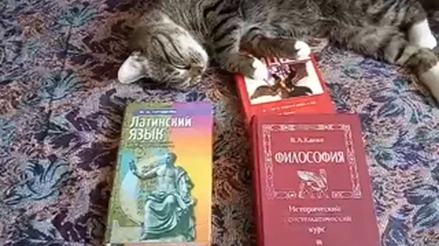 Как изучать латинский язык ? (2020 год ) смотреть онлайн