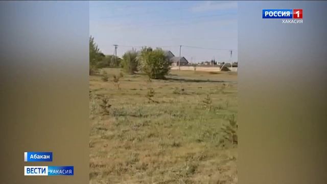 Соснам на Аскизской ничего не угрожает смотреть онлайн