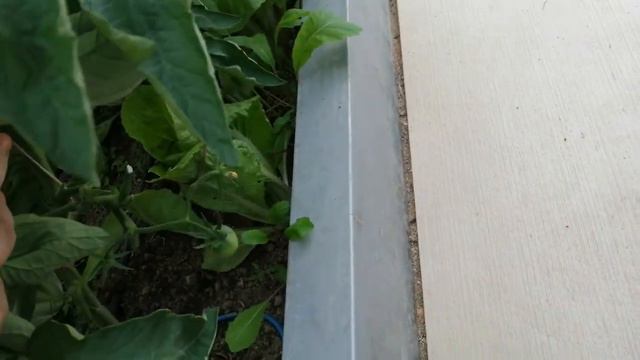 Кистедержатели 