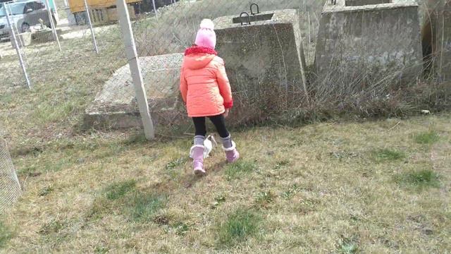 любимые и лучшие домашние животные смотреть онлайн