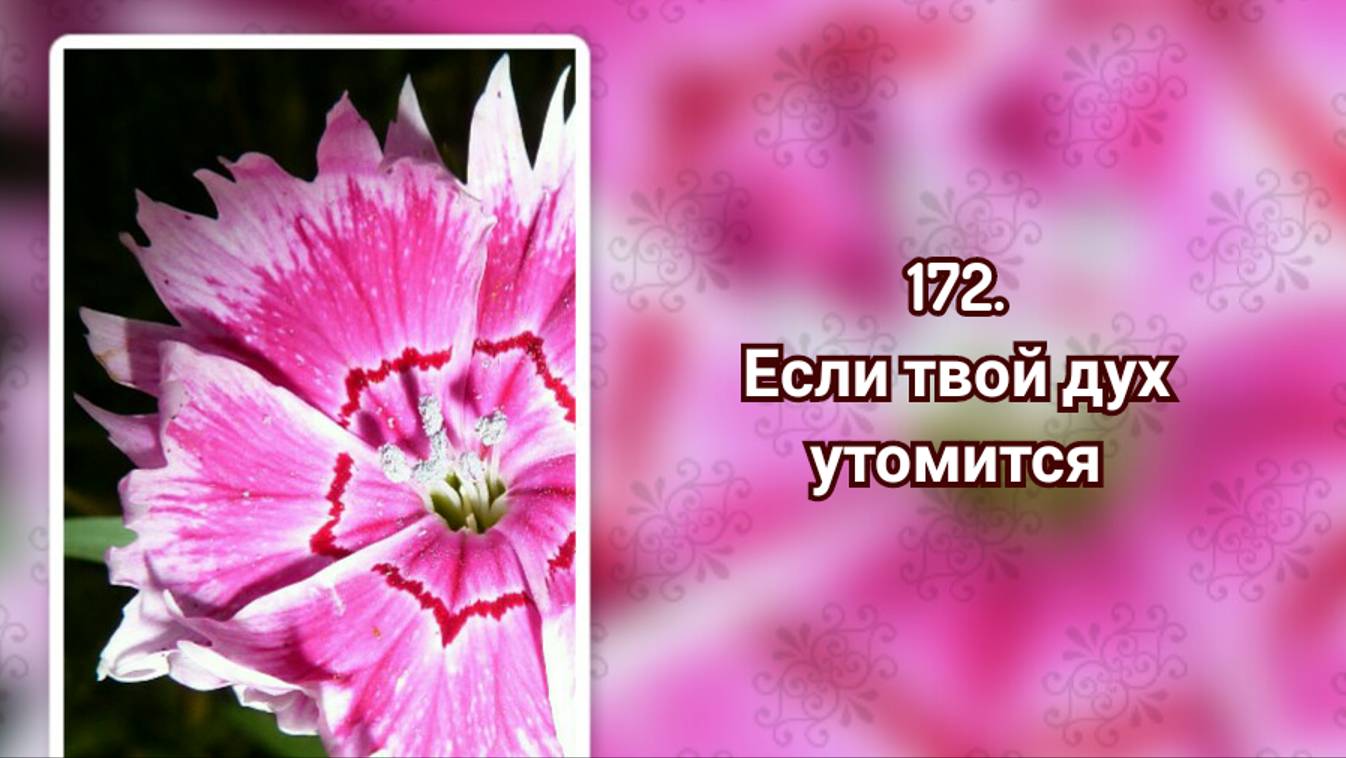 Гимны надежды 172 Если твой дух утомится (-) смотреть онлайн