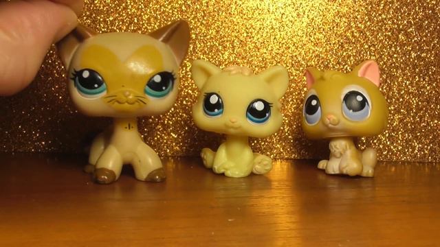 LPS:  Обзор котят LPS