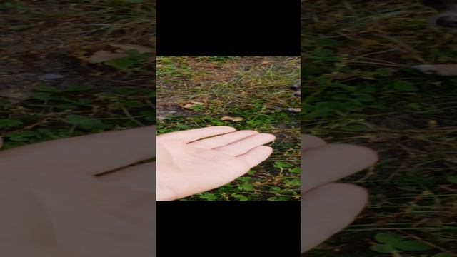Ралли смотреть онлайн