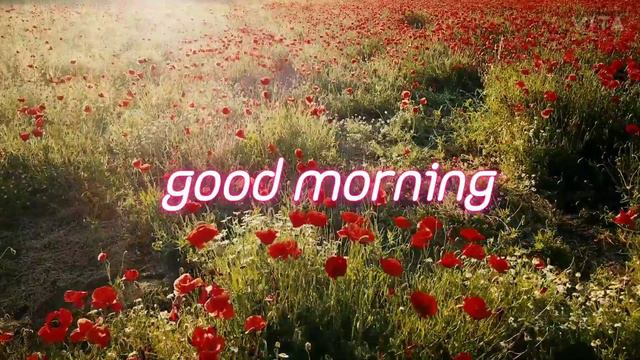 Good morning смотреть онлайн