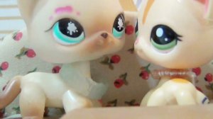 Lps Сериал: ЖЕНА ИНВАЛИД (Серия 2)