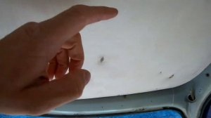 АВТОДОМ ИЗ АВТОБУСА. внутренняя отделка!