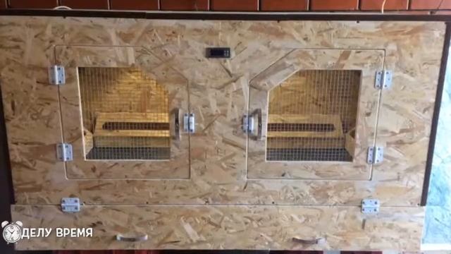 строим брудер для цыплят