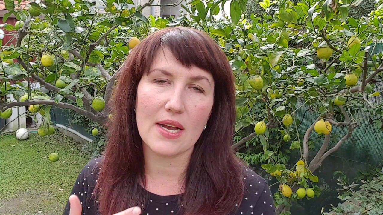 Нужно ли проходить тестирование. Елена Шипилова. смотреть онлайн