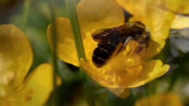 Перепочинь на хвилі релаксації