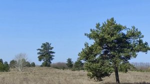 Чистый Четверг. Что нужно сказать при купании...