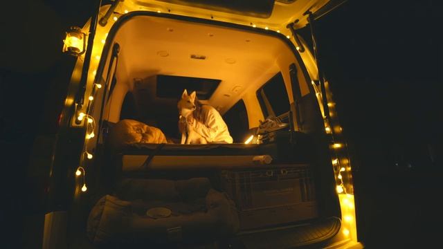 조용한 산 속에서 스타리아 차박 | 최고의 공간감 | 반려견동반 캠핑| 속리산사내리야영장 смотреть онлайн