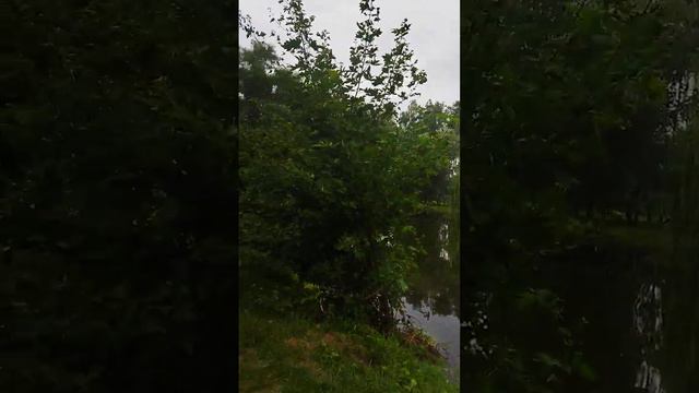 #прогулка#отдых#озеро#пицца Сижу на отдыхе! смотреть онлайн