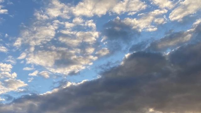 Тарас Шевченко «Хоча лежачого й не б‘ють» смотреть онлайн