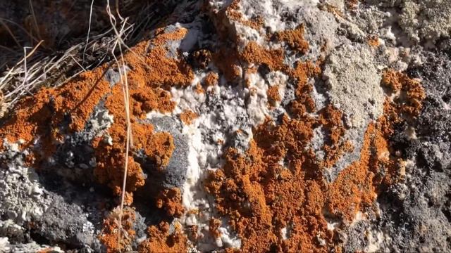 Муди видео смотреть онлайн