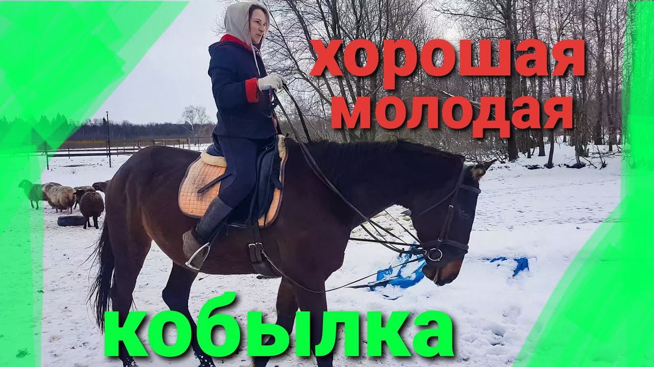 ПРО ДЕРЕВЕНСКУЮ ЖИЗНЬ С ЖИВОТНЫМИ смотреть онлайн