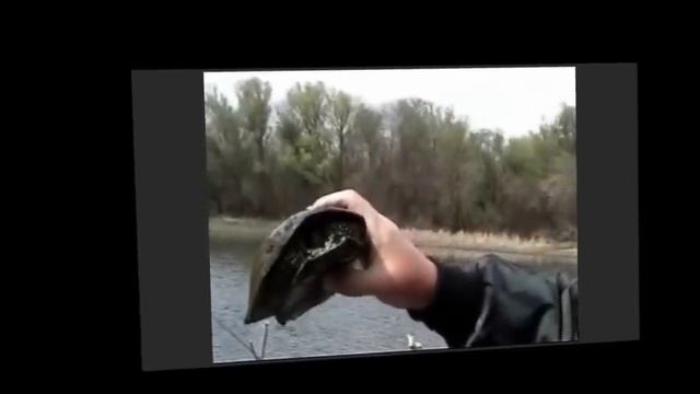Опять черепаха! Прикольная рыбалка. смотреть онлайн
