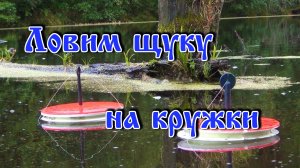 Ловим щуку на кружки.mp4
