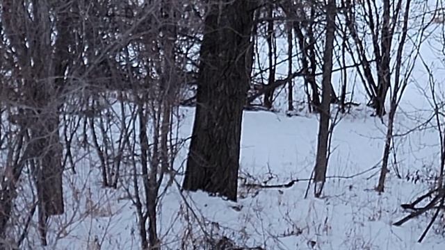 WE (Cybergun) Airsoft Desert Eagle/ L6 Review and shooting + drum magazine (Part 1) смотреть онлайн