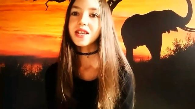 Tag: мой кот 💗 Scottish fold 10 интересных фактов смотреть онлайн