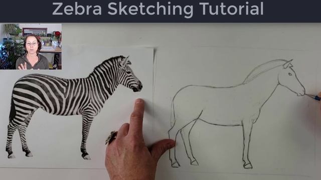 How to Sketch a Realistic Zebra Step-by-Step смотреть онлайн
