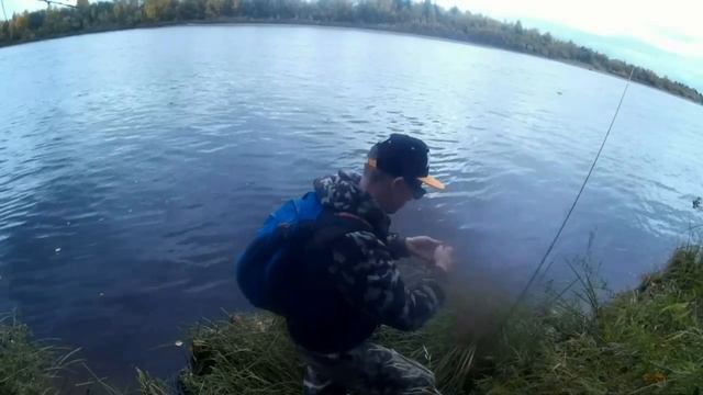 Болен Рыбалкой №238 - Чудо твистер! смотреть онлайн