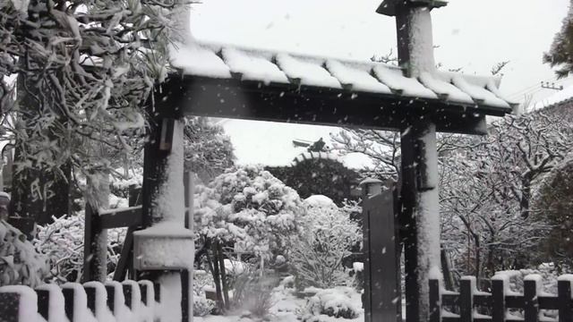 Snowy Tokyo And Kamakura With Buddhist Chanting