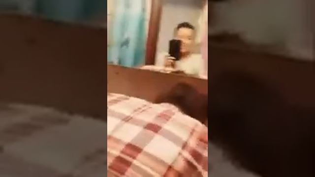 ОТБЕЛИВАЕМ ЗУБЫ в домашних условиях СЛЮНИ Запоздалое Periskope Перископ video" дома смотреть онлайн