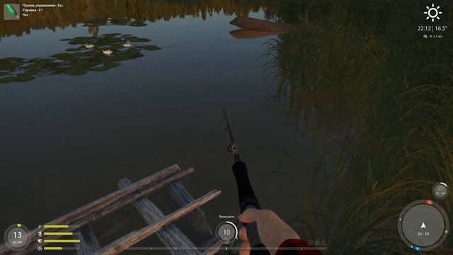 Русская рыбалка 4 Обзор Удочек (маховое, спиннинг, донка) оз.Комариное смотреть онлайн