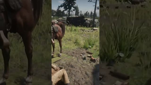 Не, ну а чо. Подушка у кого-то появилась) #bonbon #rdr2 смотреть онлайн