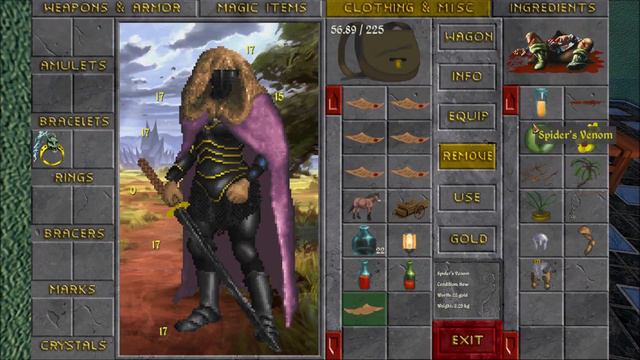 Daggerfall Unity — 88 — Fighters Guild Quest — Standard Protection смотреть онлайн