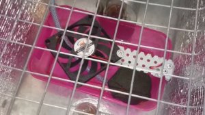 Инкубатор своими руками.Как сделать дешево и просто.