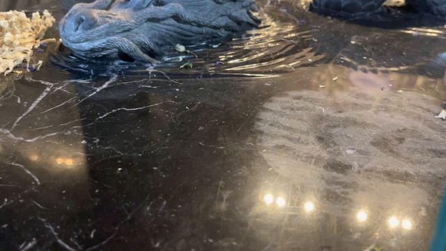 Почему не получается выйти замуж?/ Расклад на картах смотреть онлайн